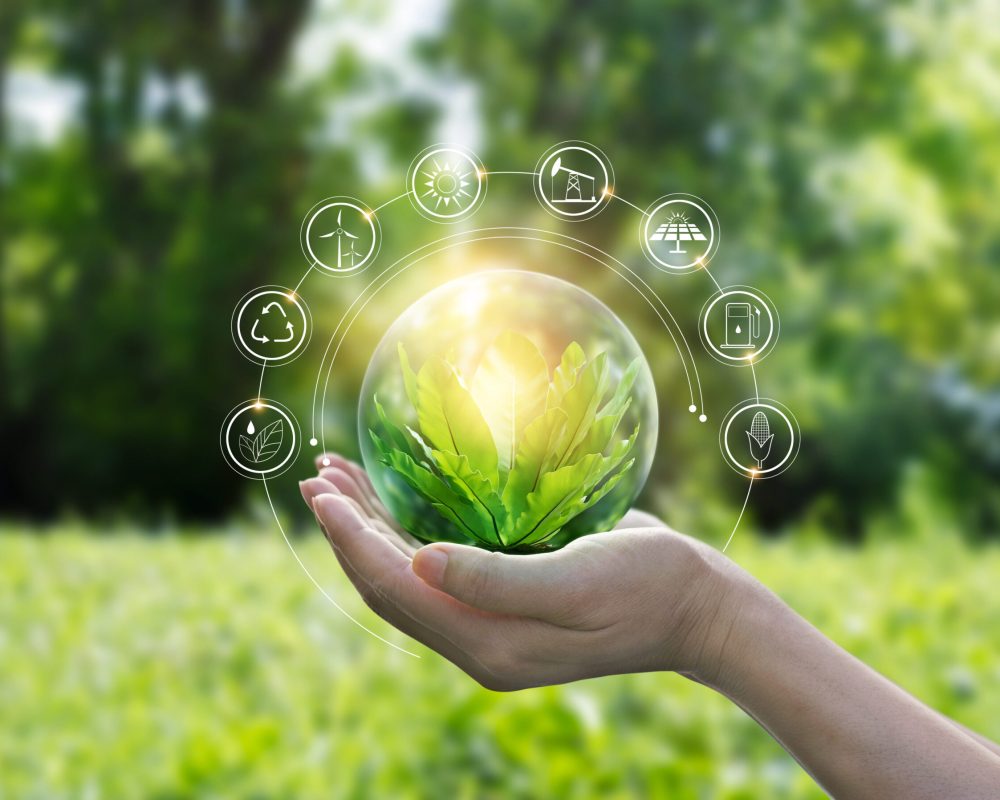 Hands protecting globe of green tree on tropical nature summer background, Ecology and Environment concept